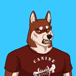 Canine Cartel #7698