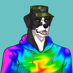 Canine Cartel #9899