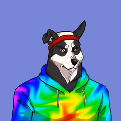 Canine Cartel #5372