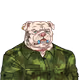 8030