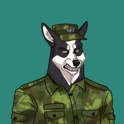 Canine Cartel #7090