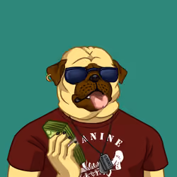Canine Cartel #6664