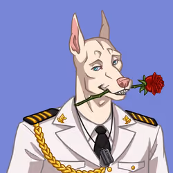 Canine Cartel #6069