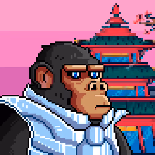 Space Monkeys #1376