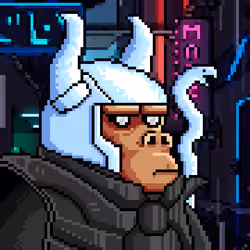 Space Monkeys #1300