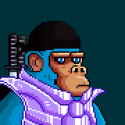 Space Monkeys #4313