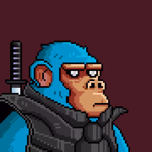 Spacemonkeys Nft