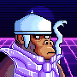 Space Monkeys #1007