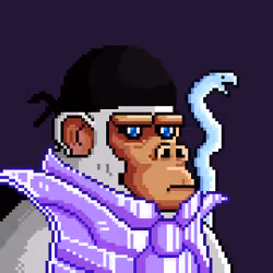 Space Monkeys #721