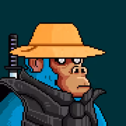 Space Monkeys #2070