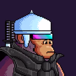 Space Monkeys #3351