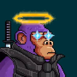 Space Monkeys #5212