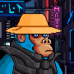 Space Monkeys #1347