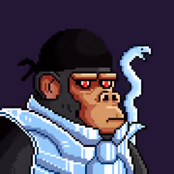 Space Monkeys #4496