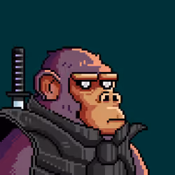 Space Monkeys #2721