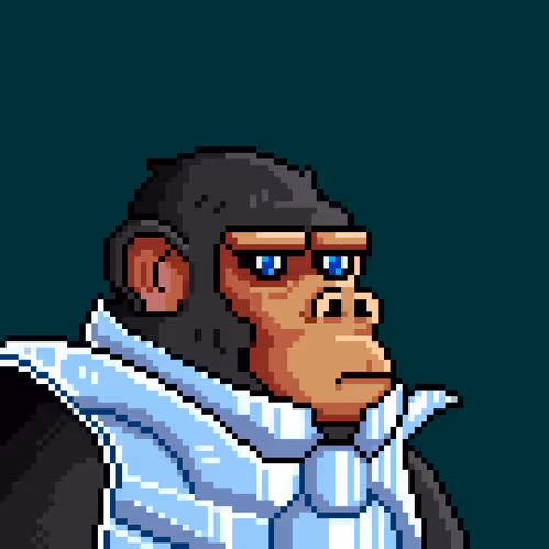 Spacemonkeys Nft
