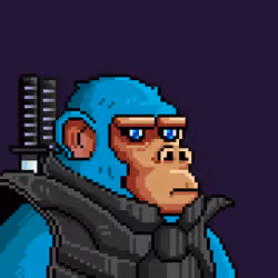 Space Monkeys #3273