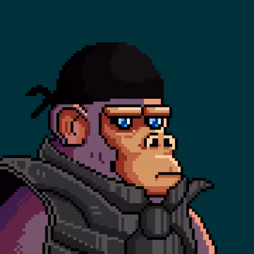 Space Monkeys #4578