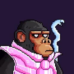 Space Monkeys #1858