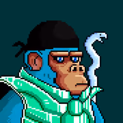 Space Monkeys #5066