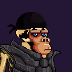 Space Monkeys #5023