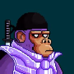 Space Monkeys #5870