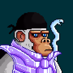 Space Monkeys #5183