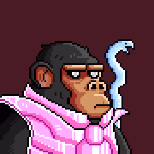 Space Monkeys #5940