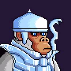 Space Monkeys #5924