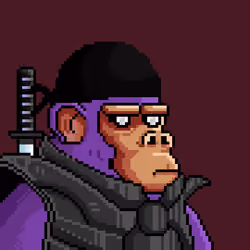 Space Monkeys #6976