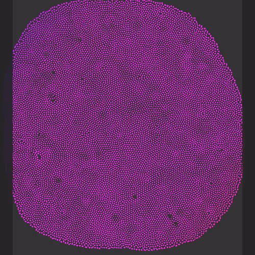 Turing Test #72