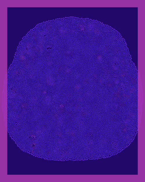 Item #294 Media