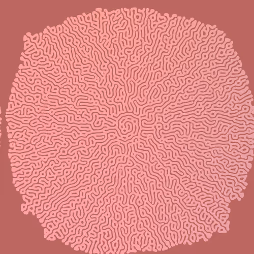 Turing Test #323