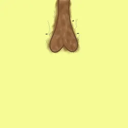 46