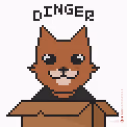 OG LOGO CAT