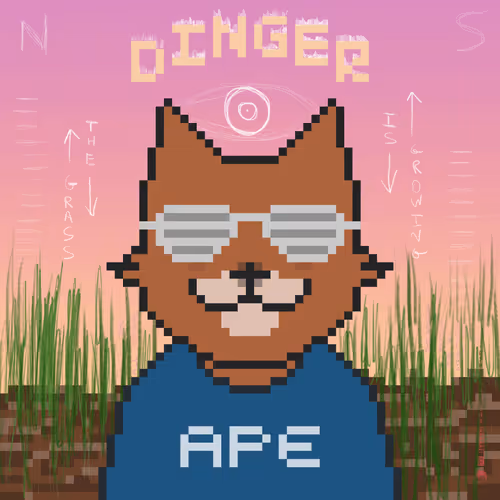 Dinger Degens