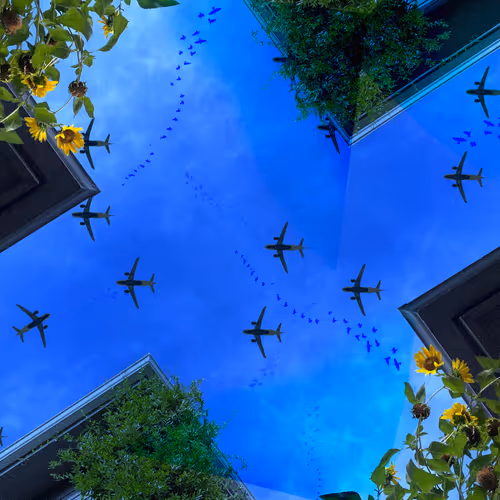 Early Coded Collages by Truedrew