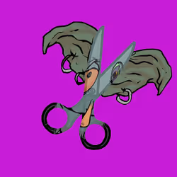 43