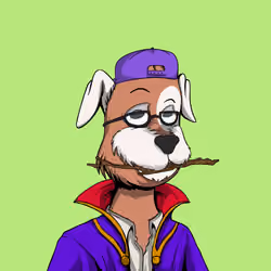 Up Dogs #4951
