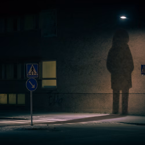 Shadow Theater