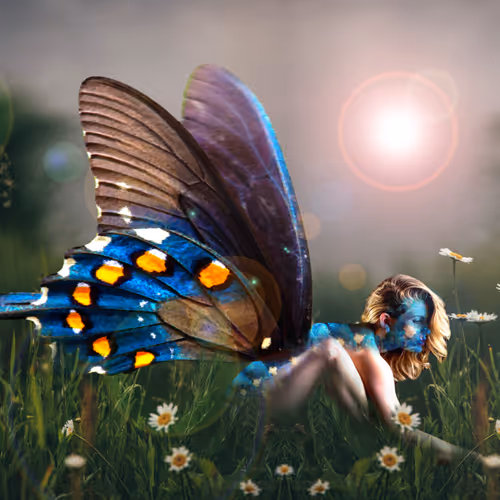 Solitude - cQTppiDW5O