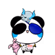 5300