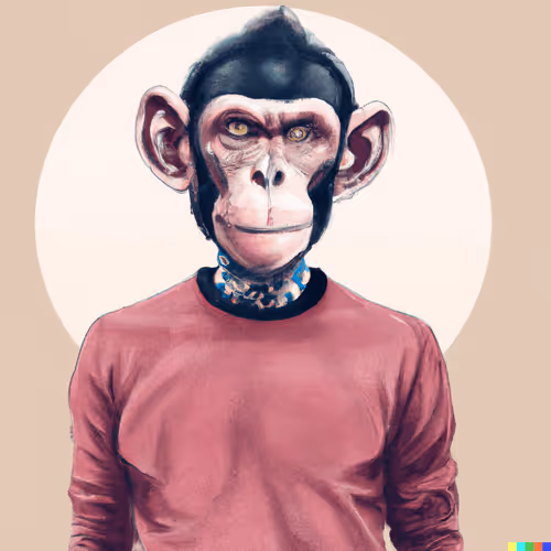 Boredapefashionclub