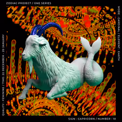 ZODIAC PROJECT #1388