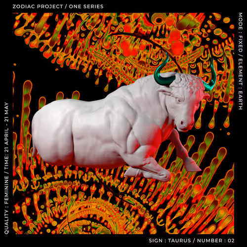 ZODIAC PROJECT #1919