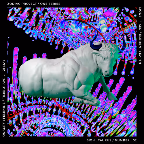ZODIAC PROJECT #1144