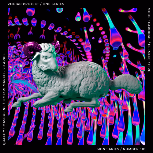 ZODIAC PROJECT #1073