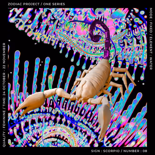 ZODIAC PROJECT #2159