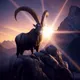 Rise ∞ Fall by Wildalps