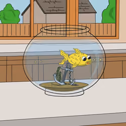 35